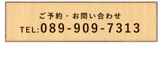 TEL 089-909-7313